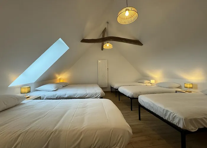 펜션 La Paquerie - - Campagne - 12 Pers - Reve Au Mans